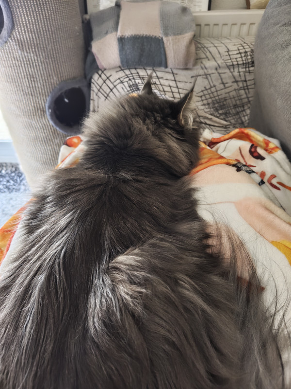 IMG 20251224 102948754