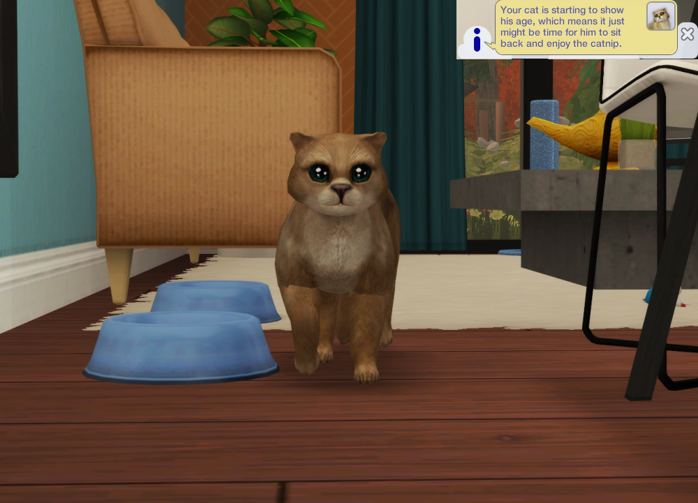 Sims2-EP9-RPC-2022-04-12-21-18-11-27