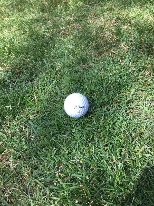 2E070BA7-2548-4249-A173-EB10B4B952BF