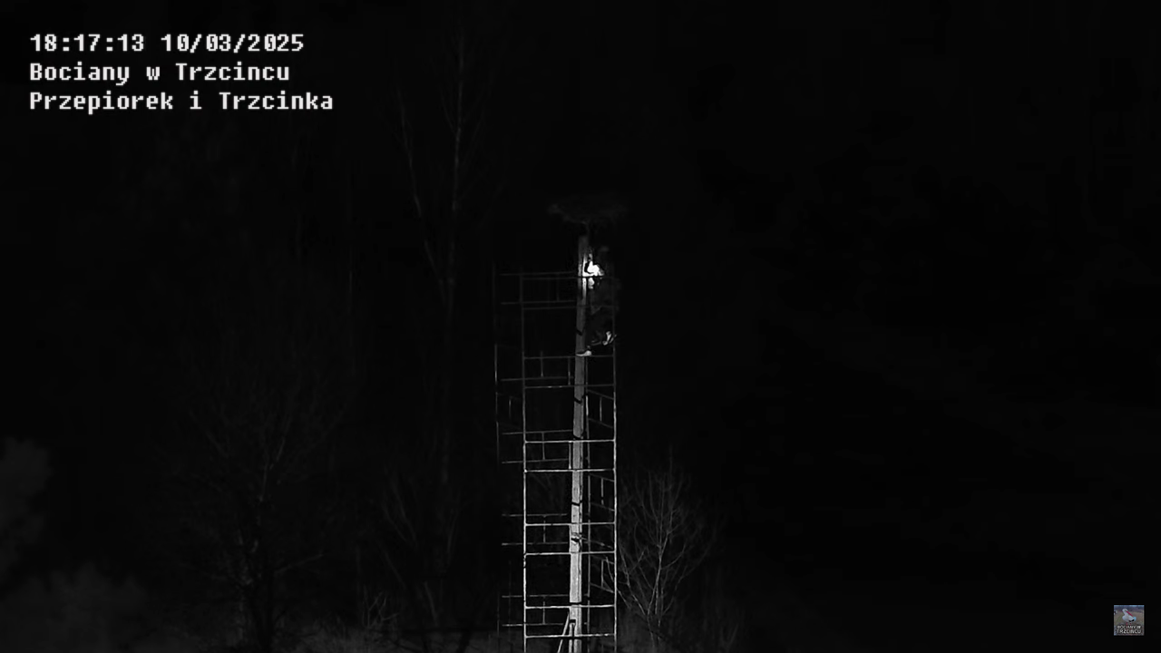 10032025rusztowanie5