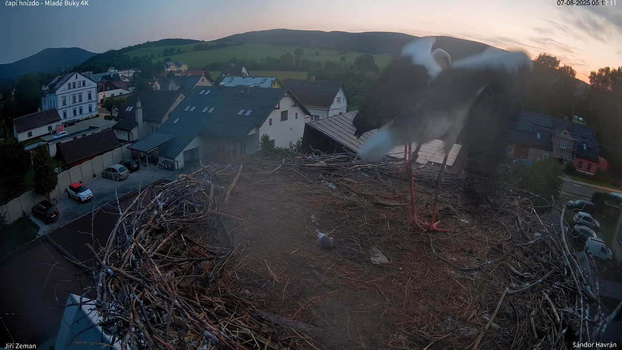 Tiešraides kamera — Mladé Buky — stārķa ligzda 4K 6-26-50 screenshot