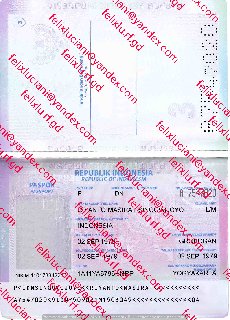 Indonesia Passport_cleaned