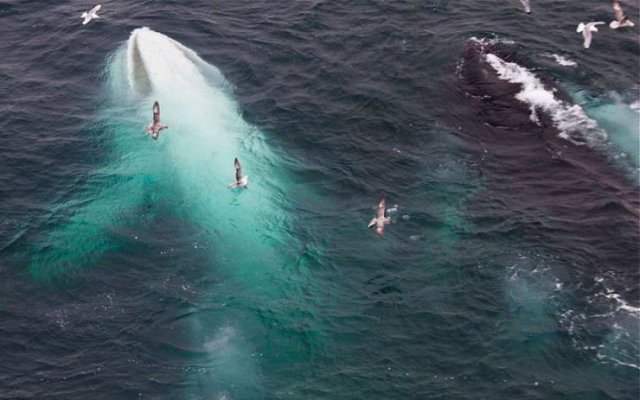 Amazing-29