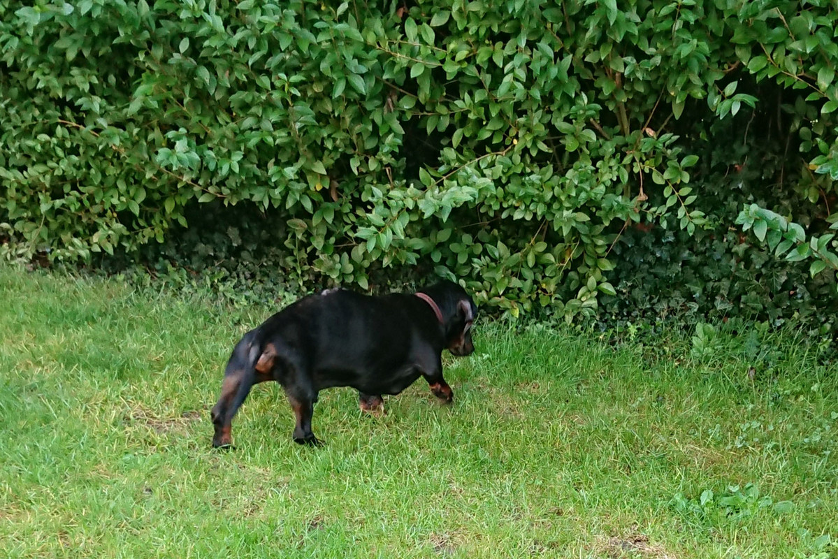 [Image: DSC-2049.jpg]