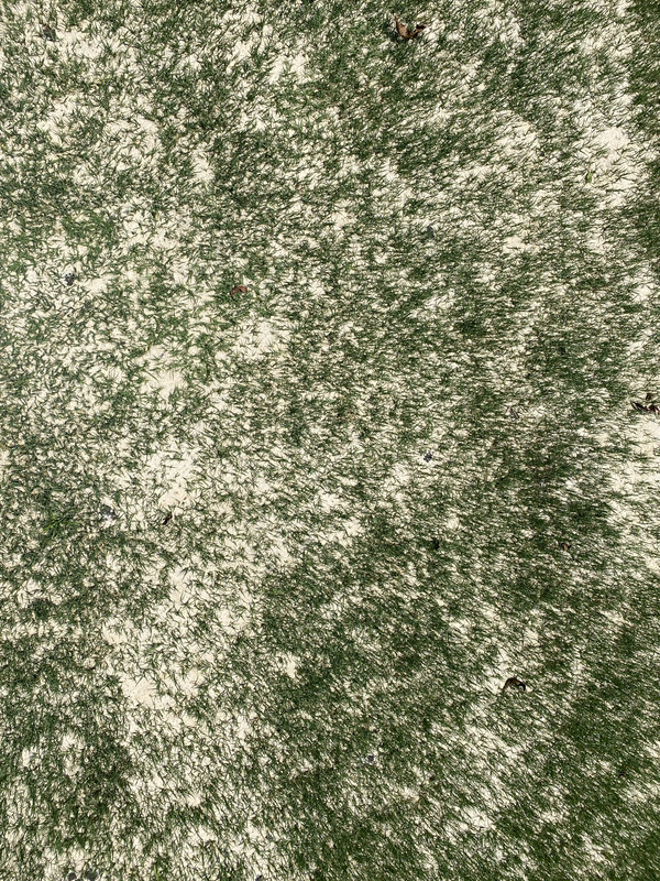 727CDBD2-D668-4E91-A516-AFB1EE8D12CE