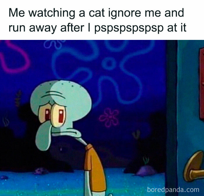 relatable-funny-memes-24-63284efe3a596-700.jpg