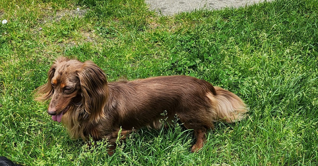 [Image: IMG-20240512-WA0006.jpg]