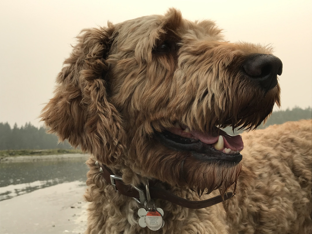 FFBDC958-4939-47D9-B02A-D1A34E8C8544