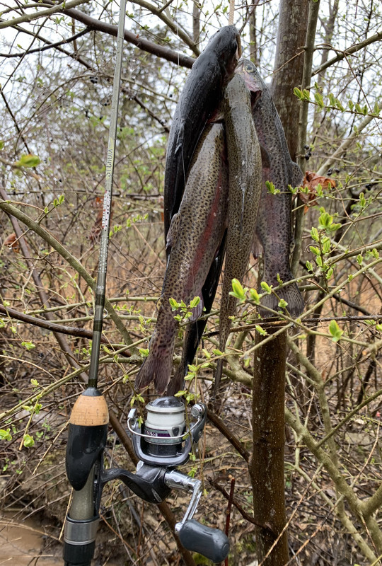 78353711-B25E-4713-955E-4C991E7B6ECF