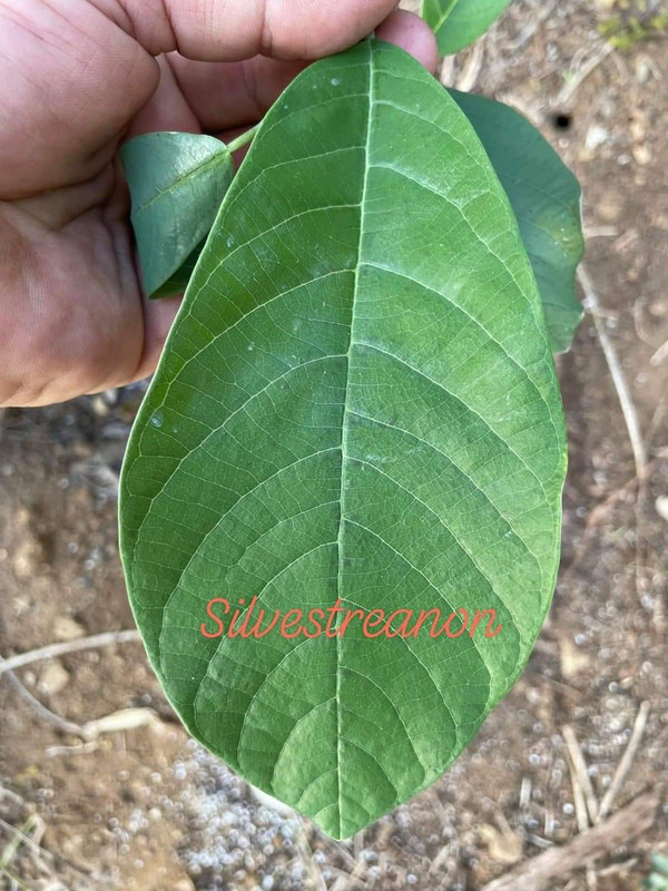 1D9251DC-9686-4557-8F73-1D15CF8DDF4A