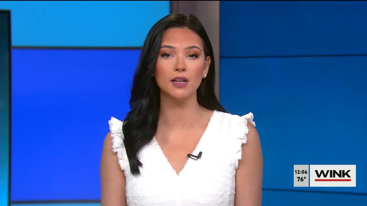 The WINK Noon News 2022_04_08_17_00_00.ts_snapshot_12.39.740