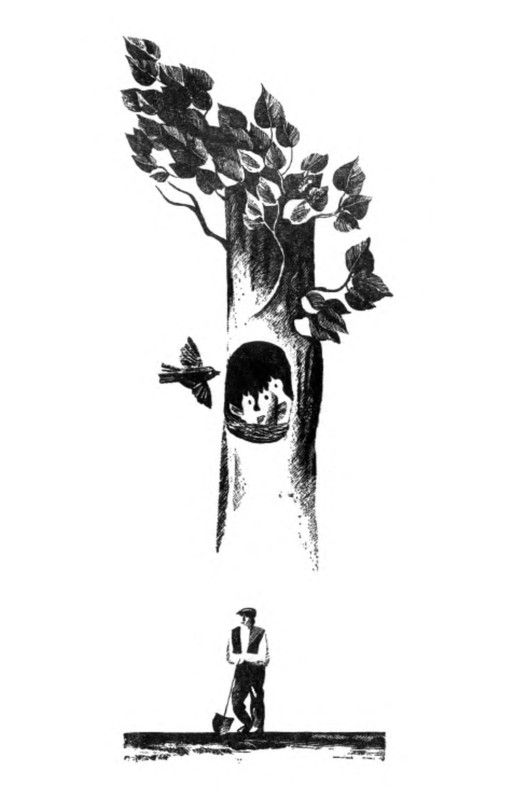 p0008
