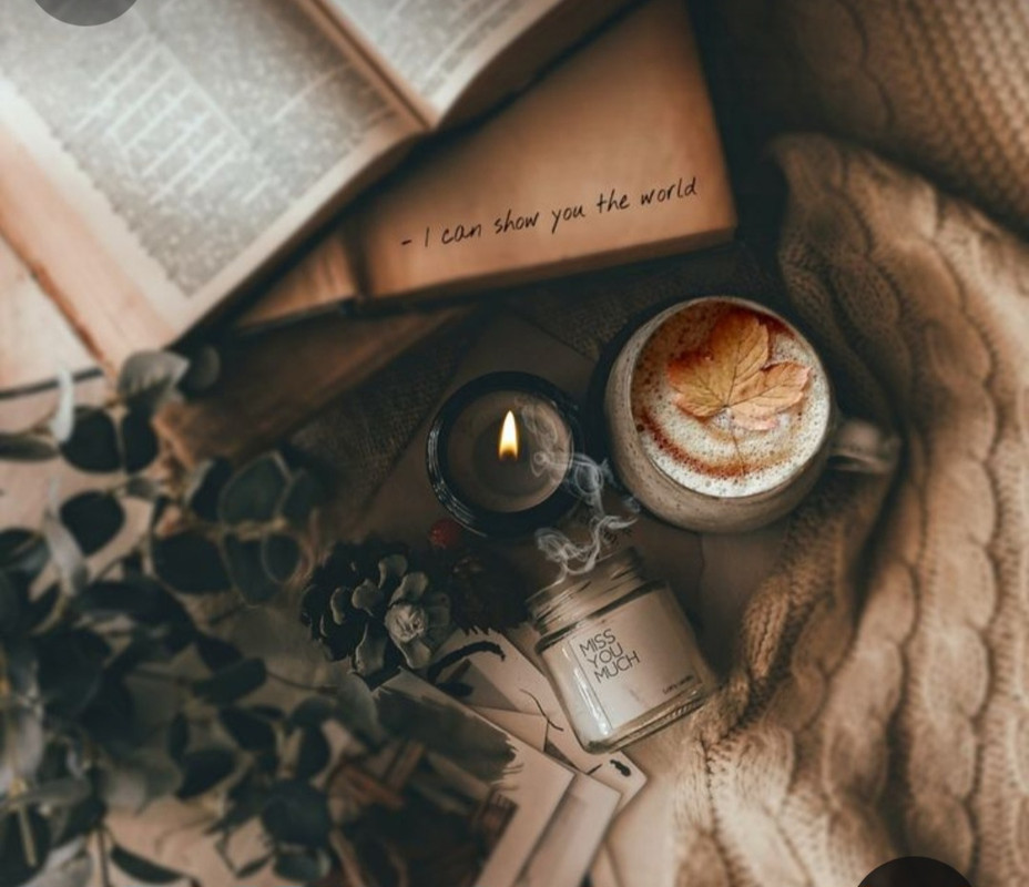 Screenshot_20231121_222124_Pinterest