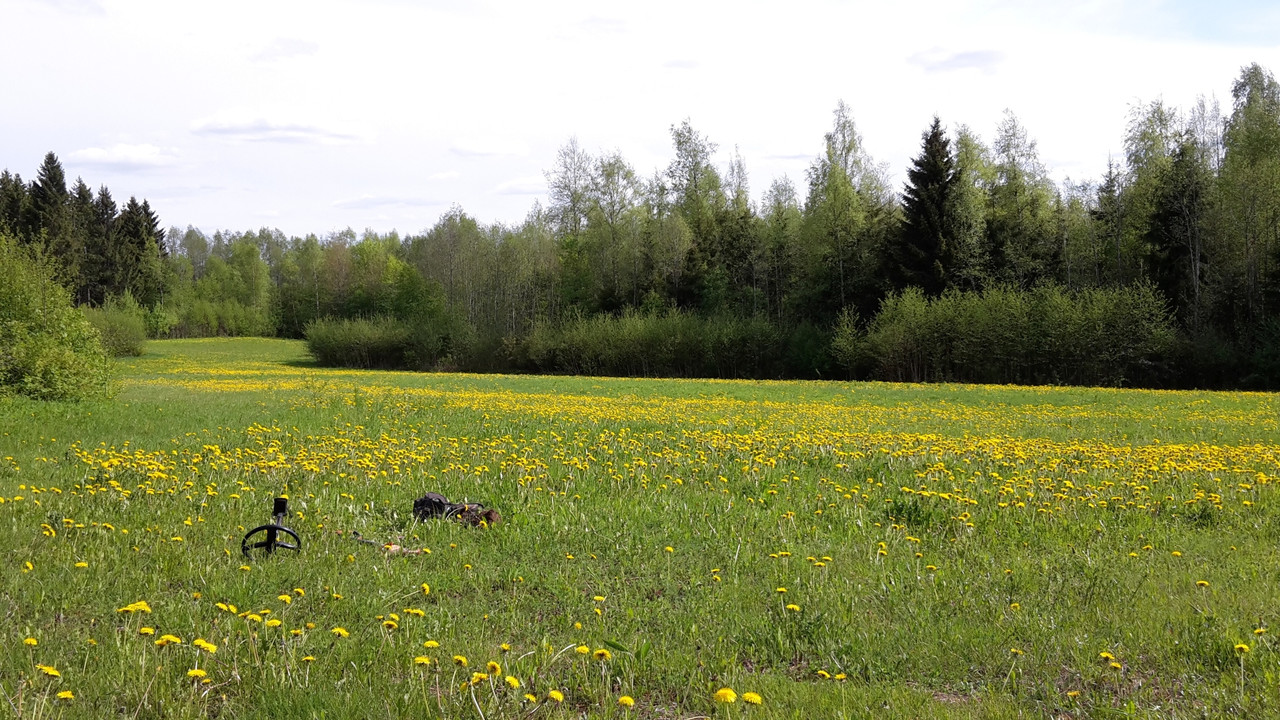 20150527_160723