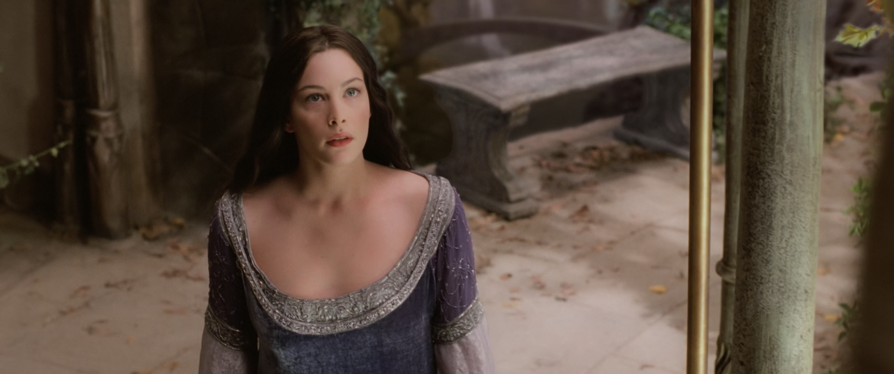 The Lord of the Rings The Return of the King (2003) EXTENDED (1080p Bluray AV1 Opus) [NeoNyx343] - [