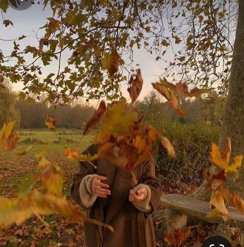 Screenshot_20231112_161252_Pinterest