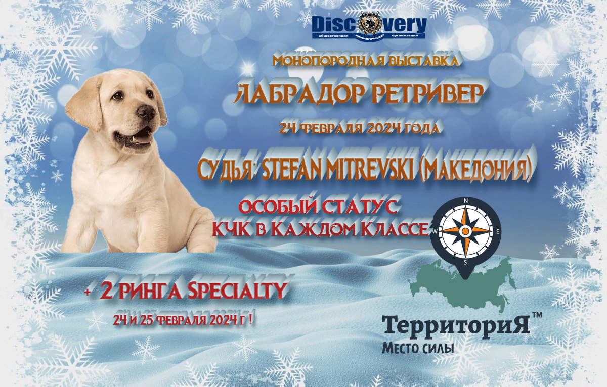 Выставки с особым статусом ркф. Выставки собак на 2022 год ркф. Названия выставок собак. Объявление о выставке собак. Выставки с особым статусом ркф.