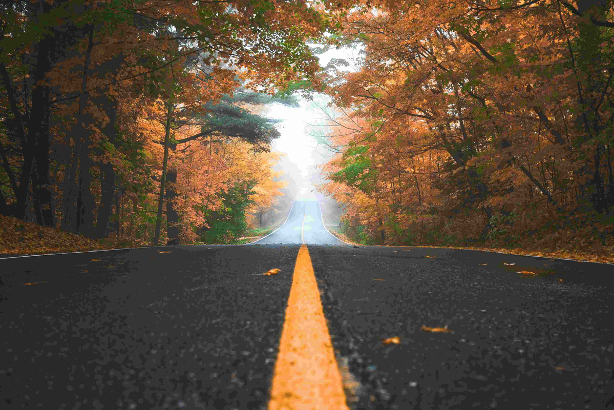 fall images & p-photos free lr background image download precap