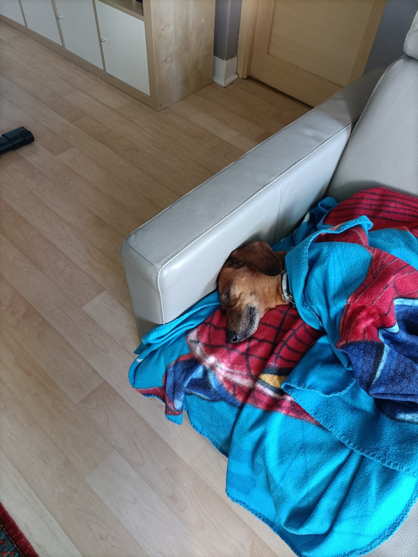 [Image: thumbnail-IMG20210620093855.jpg]