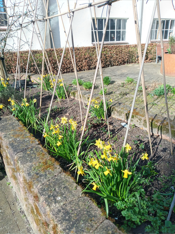 [Image: 20220315-153453.jpg]