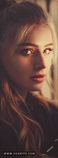 ���� ���� ������ �� ���� ������