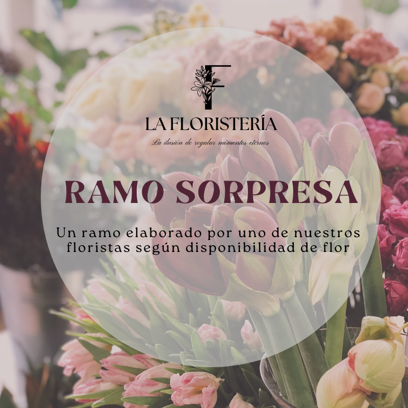 Ramo Lf Sorpresa Grande 