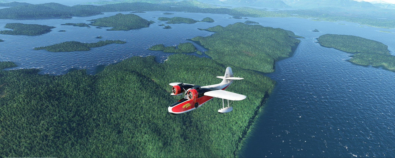 Goose-7.jpg