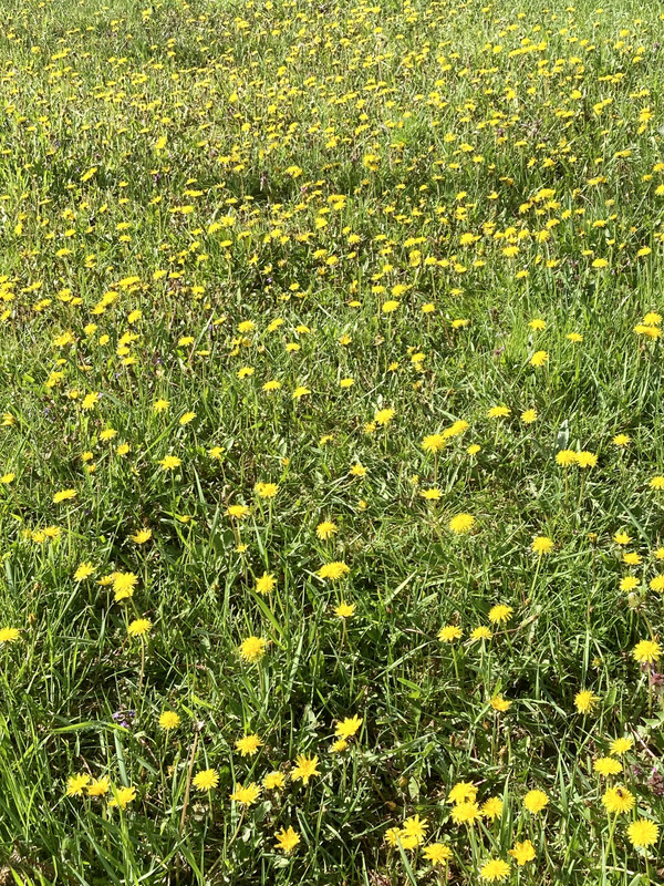 8DA128AA-8F06-427A-A093-B8F17E88B3B9