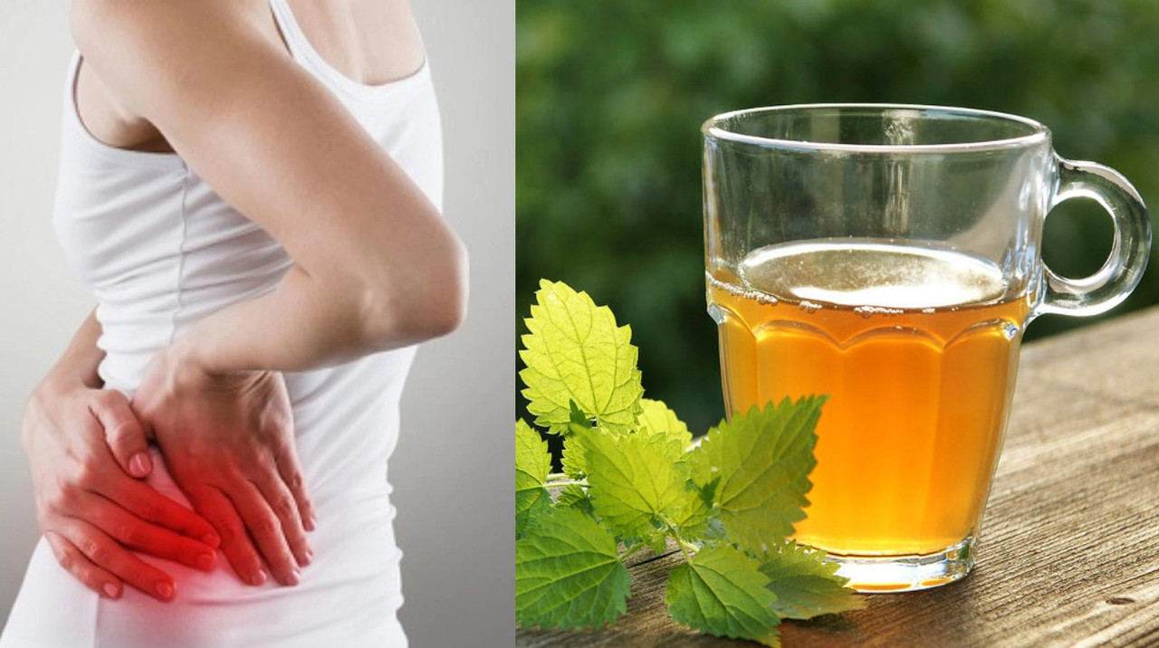 ¿Cómo aliviar el dolor de riñones con remedios caseros?