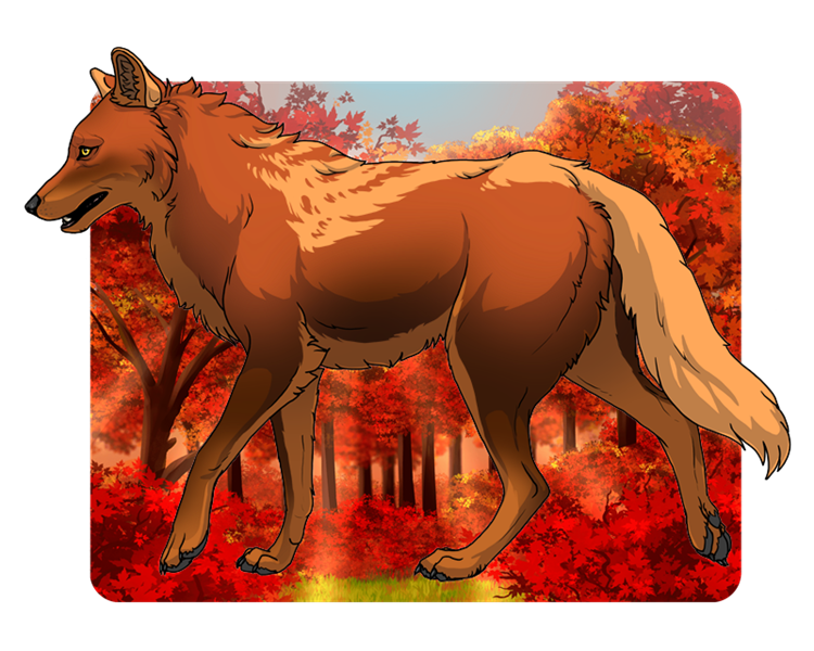 Aleya-16344-Autumn-Sun