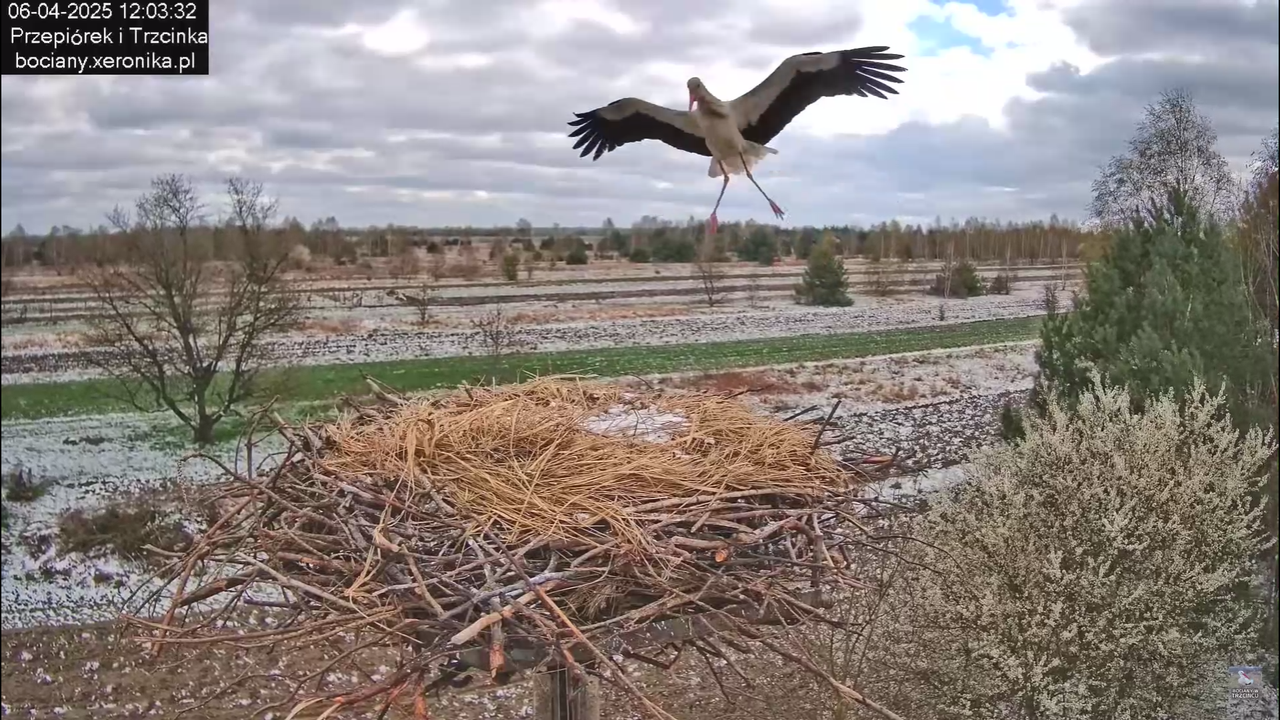 06042025minutazbocianem_0