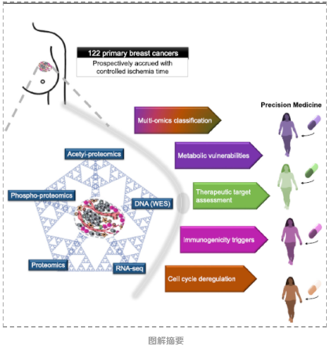 乳腺癌蛋白组-2.png