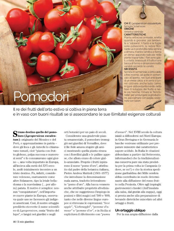 Il Mio Giar Lug-Ago 2021 (7)