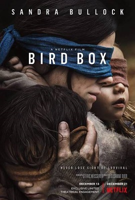 large-bird-box-poster-6.jpg