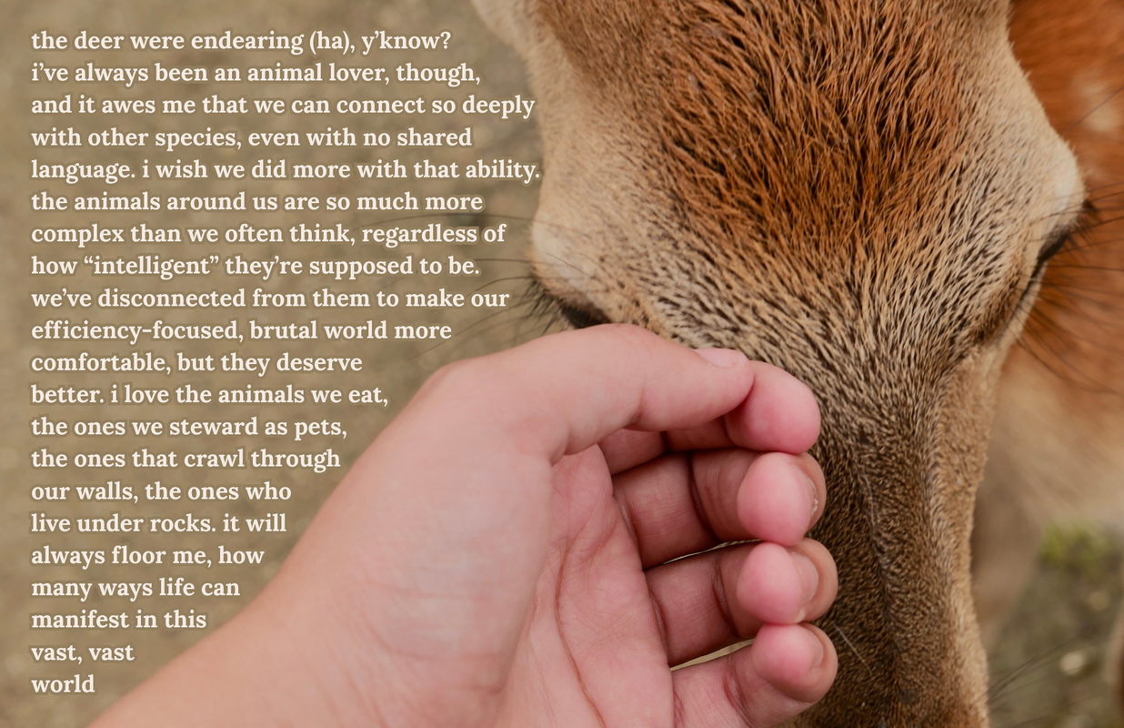 The fourth page of a zine titled 'the deer in nara are easy to love'.