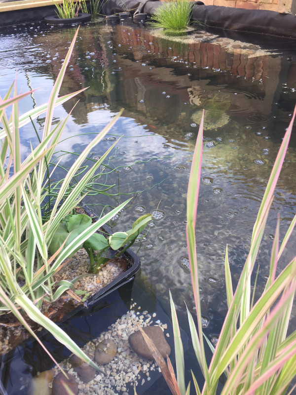 5F9A7770-0DE6-4EC5-B094-CC91F691D5E3