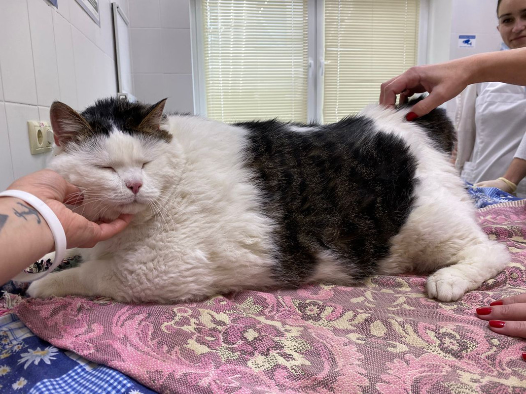 5CDCE418-3274-4059-936F-68D66BA09D76