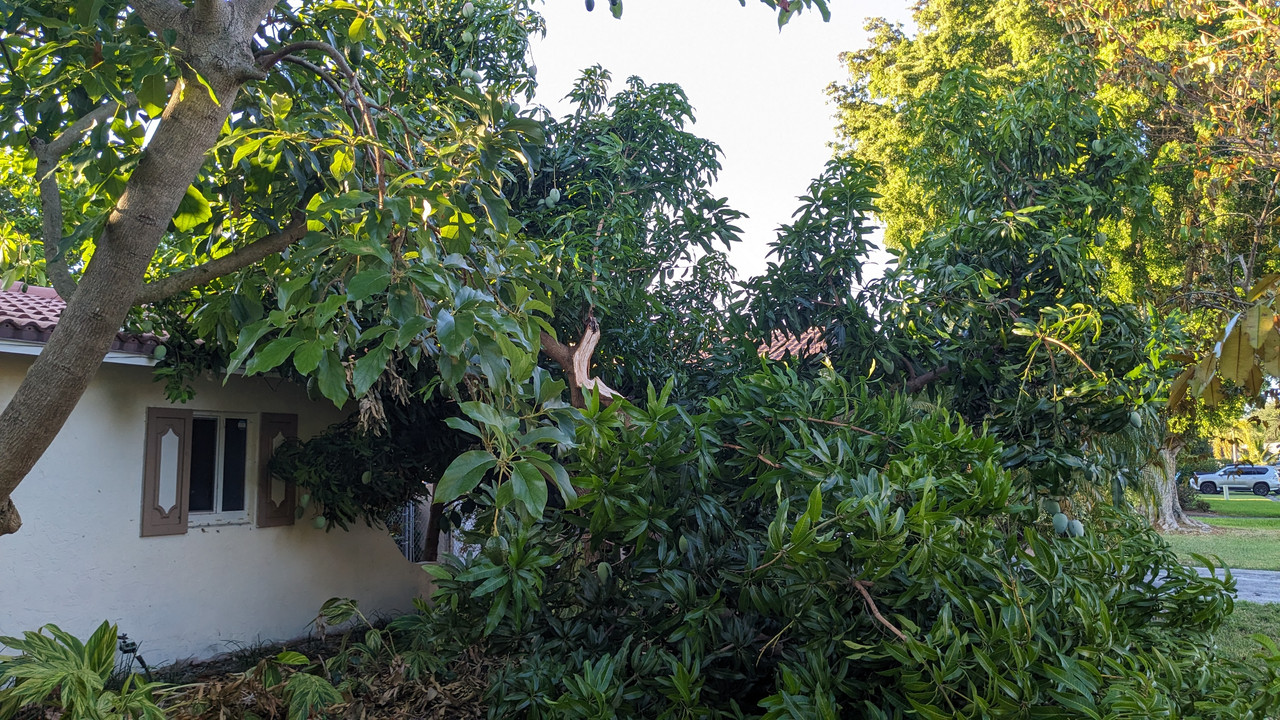 PXL_20240605_111923202