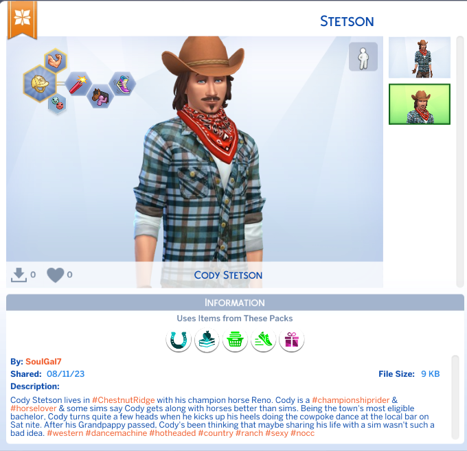 stetson-on-gallery.png