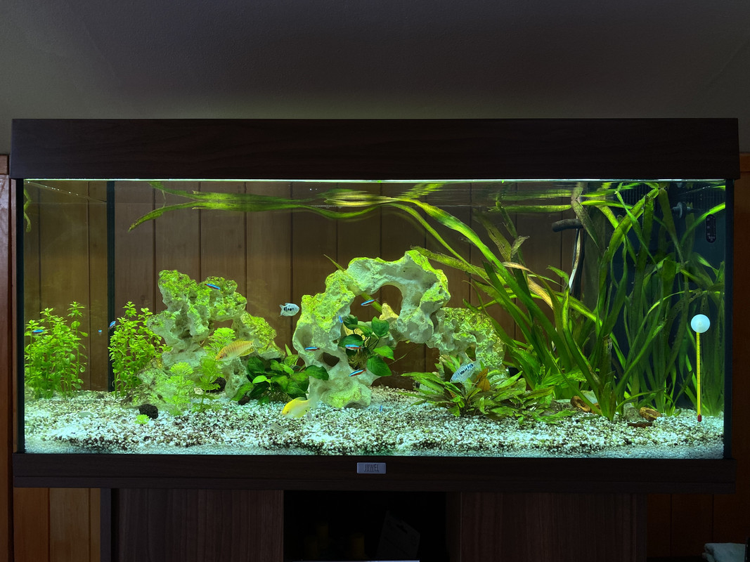 BCBF838E-A85C-4F41-BE83-75CE493A1D3F