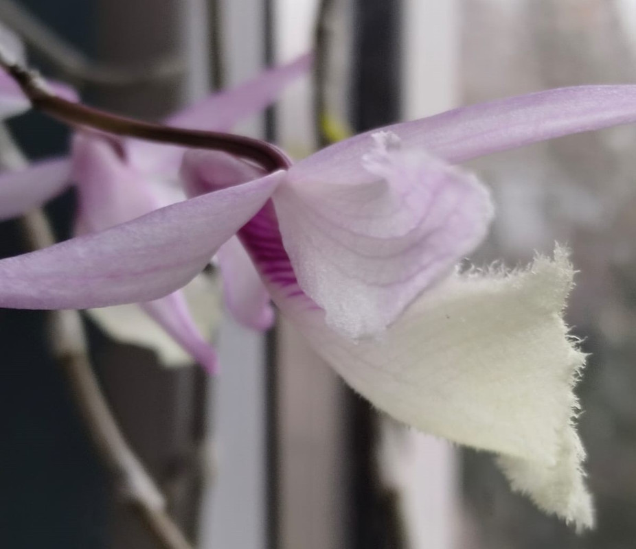 808d5667-37ce-4704-aea0-9d4d95ca7374 (2)