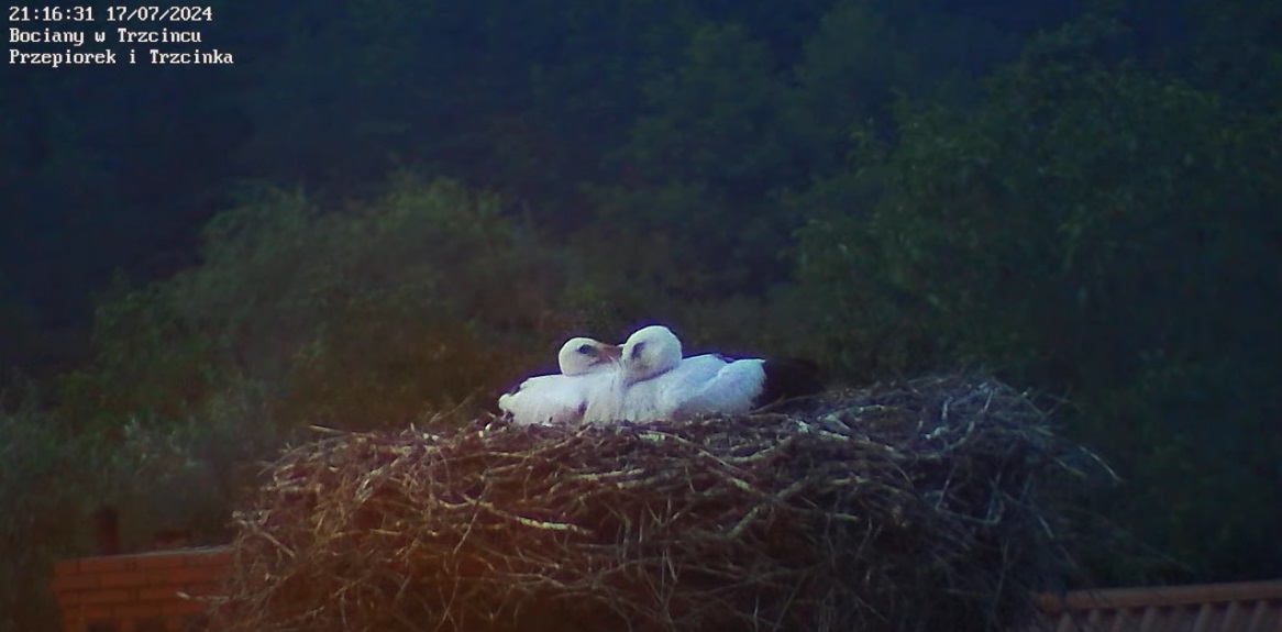 jakdobrzesieprzytulic