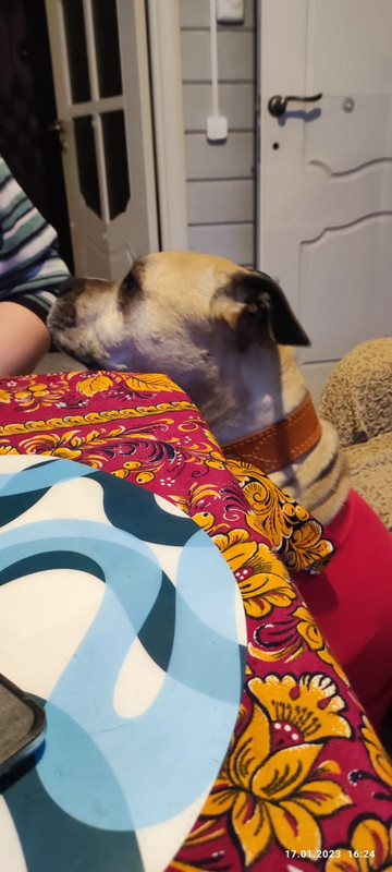 5B846AF7-FCDC-45E4-9A1B-282476164E8E