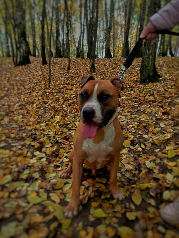 22A0065D-B388-4106-B679-F498A05D8724