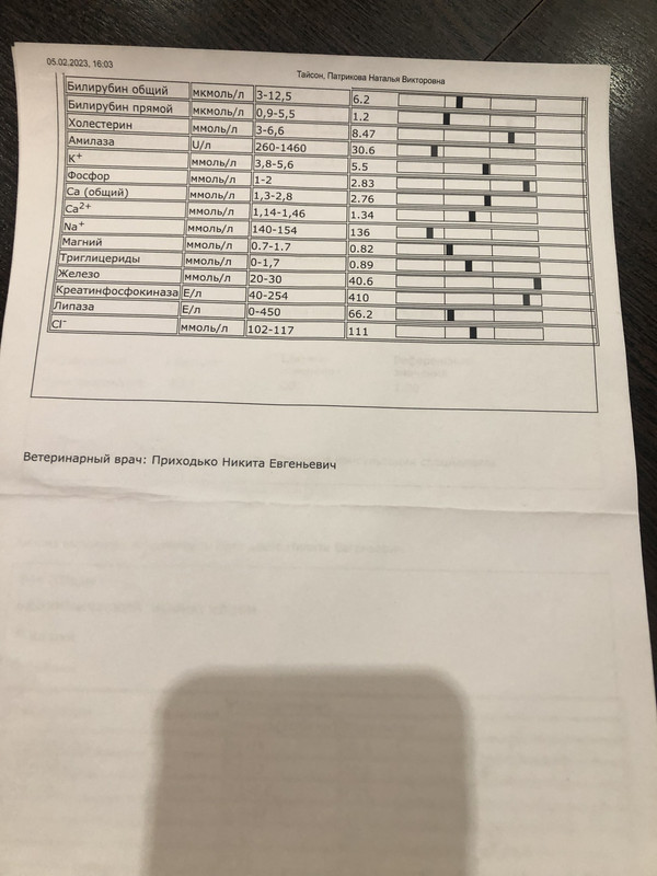 B7FAE0E3-0239-4217-A493-5EA3355ED40C
