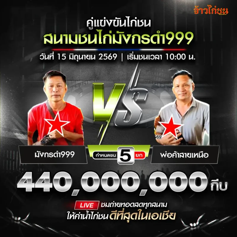 มังกรดำ999 พบ พ่อค้าสายเหนือ โปรแกรมไก่ชน สนามชนไก่มังกรดำ999 15 มิถุนายน 2026