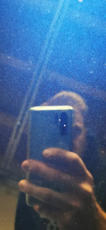 IMG_20230401_171508_resized_20230404_101746139