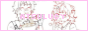 atsulucy