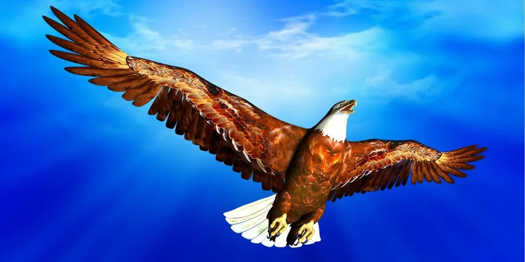 brown-eagle.webp