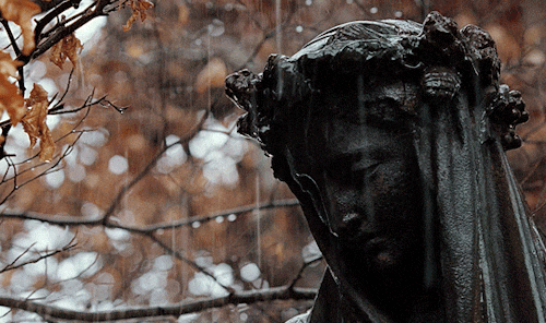 download-33.gif